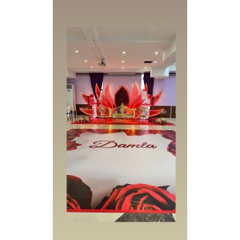 Dev Ahtapot Arka Işıklı Fon